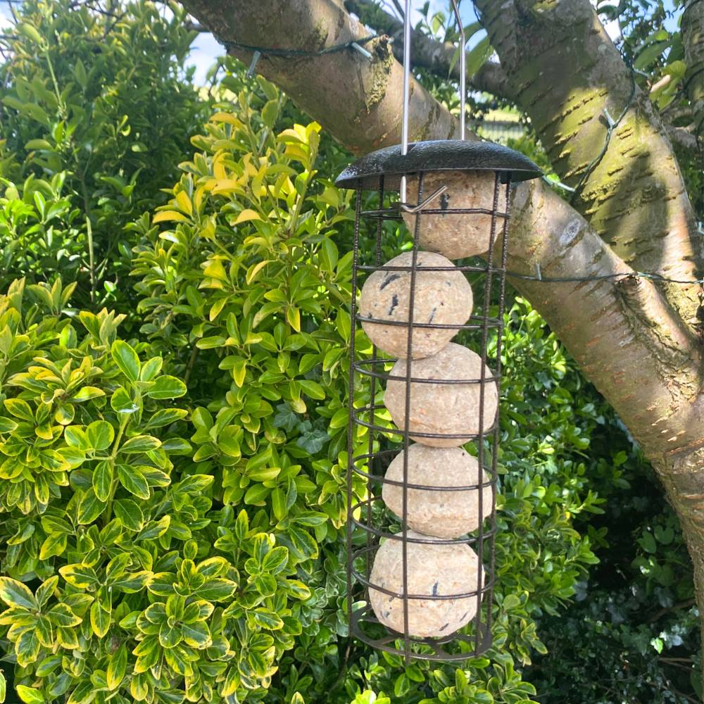 Hammertone Finish Fatball Bird Feeder